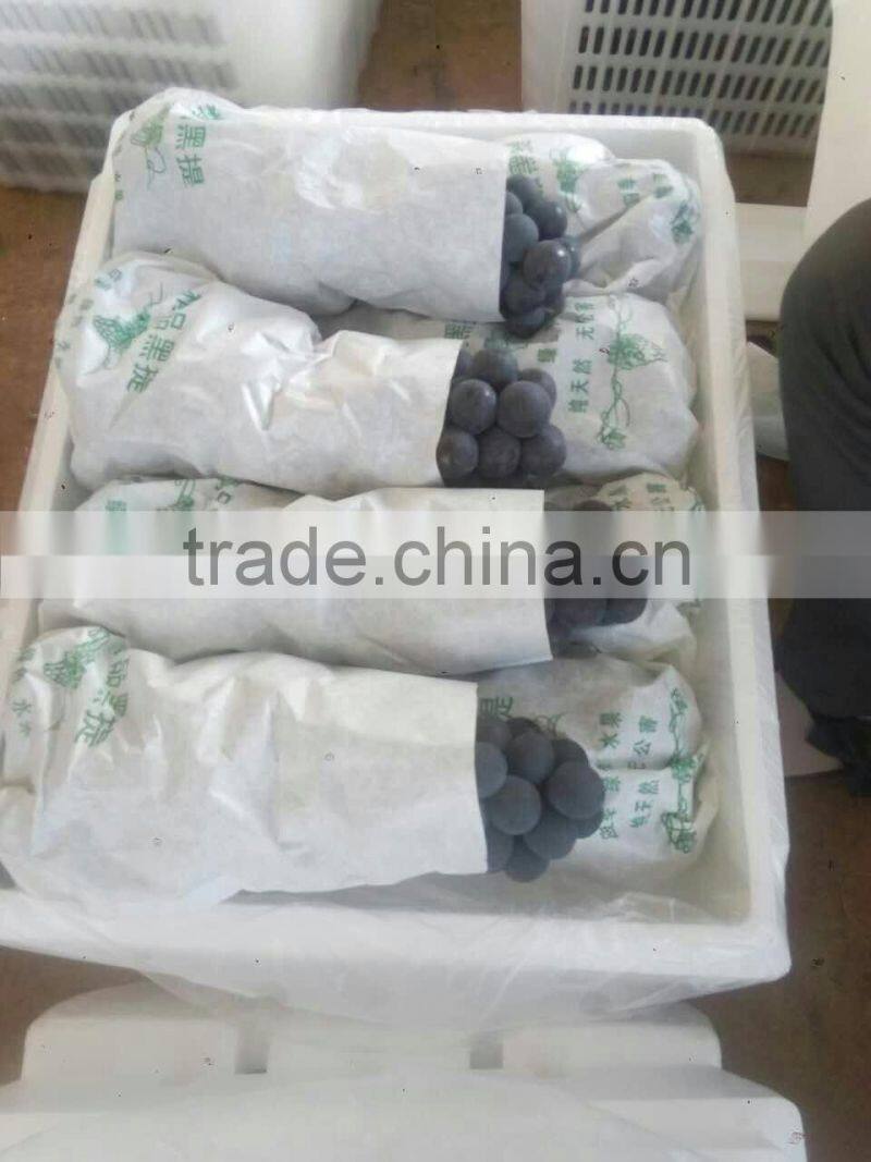 Chinese Fresh Black Globe Grape