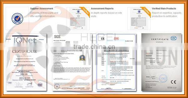 Hot sale PA400 220V 1 phase winch mini electric wire rope hoist