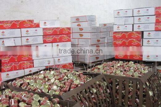 healthy high quality canned tomato paste