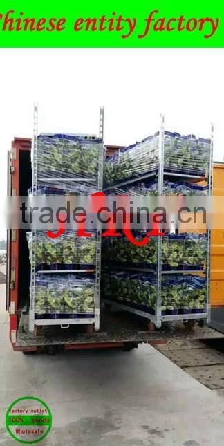 he Netherlands Denmark trolley, trolley, trolley, flower floats, car tools, greenhouse car, car cost, greenhouse trolley, trolle