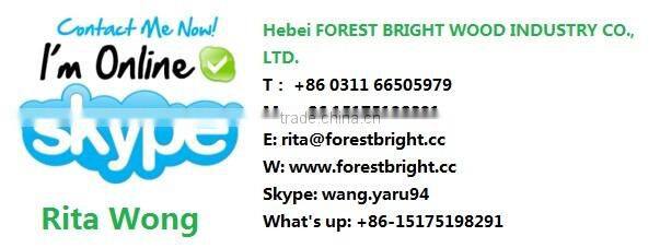 Hotel Melamine Faced MDF Panel Door, Economic Laminated Melamine Flush Door