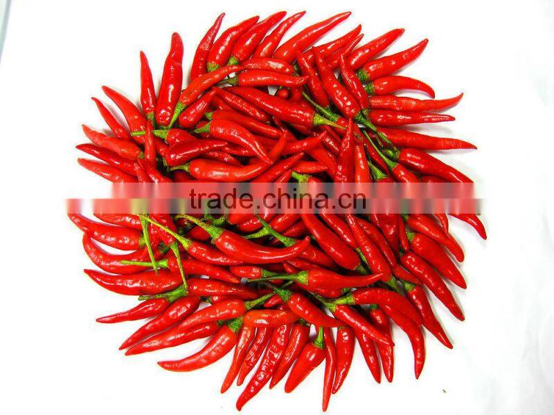 Grain and spice grinder with fineness adjustable from China