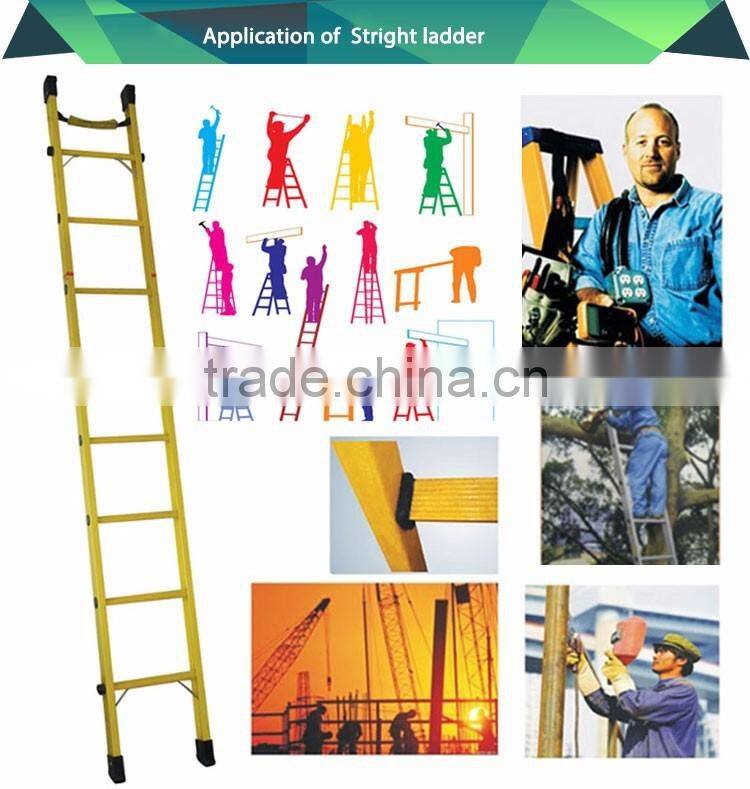 Top 1 sell ladder frame scaffolding straight ladder scaffolding plastic sheeting