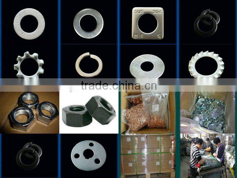 high quality external teeth serrated lock washer DIN6798A on sale