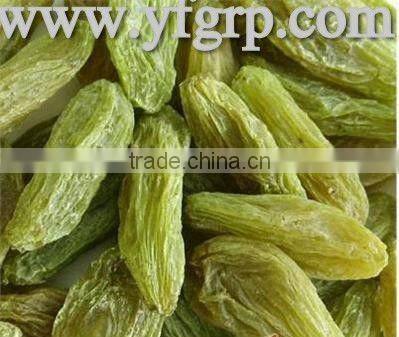 new crop organic green raisin with high quality and hot sale