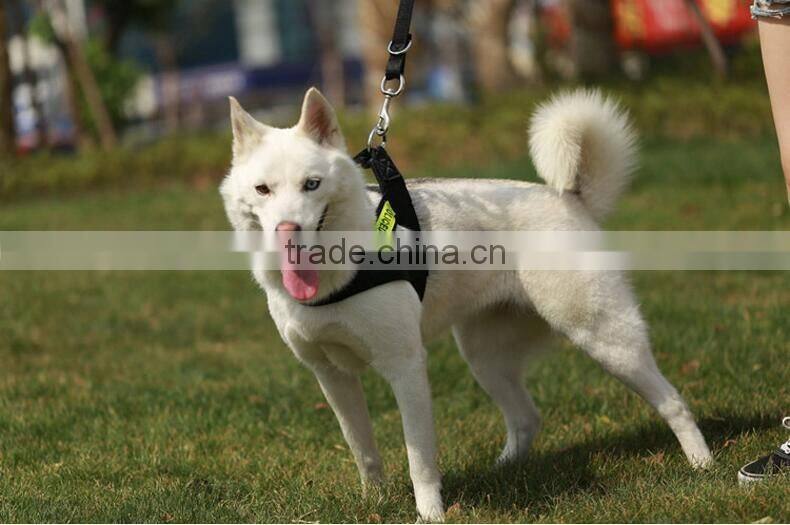 Customized Nylon material Dog Strap