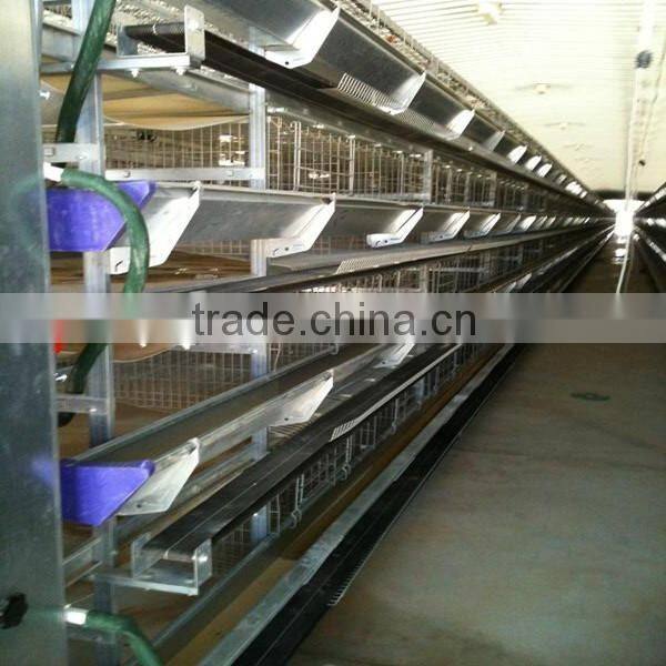 galvanized welded wire layer poultry chicken for sale