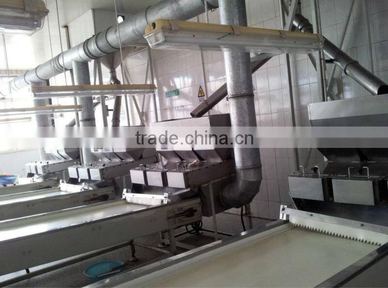 Roasted peanuts with skin, Roasted peanut kernels, Plain Roasted Peanut kernels.