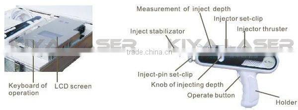 Professional and popular skin rejuvenation with hyaluronic acid