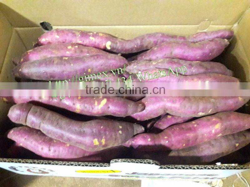 JAPAN YELLOW SWEET POTATO