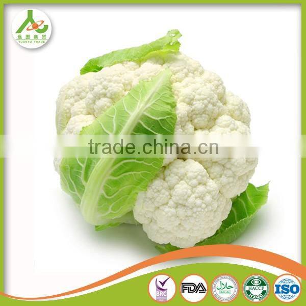 with Best Quality For SaleChina New Crop Fresh white Cauliflower