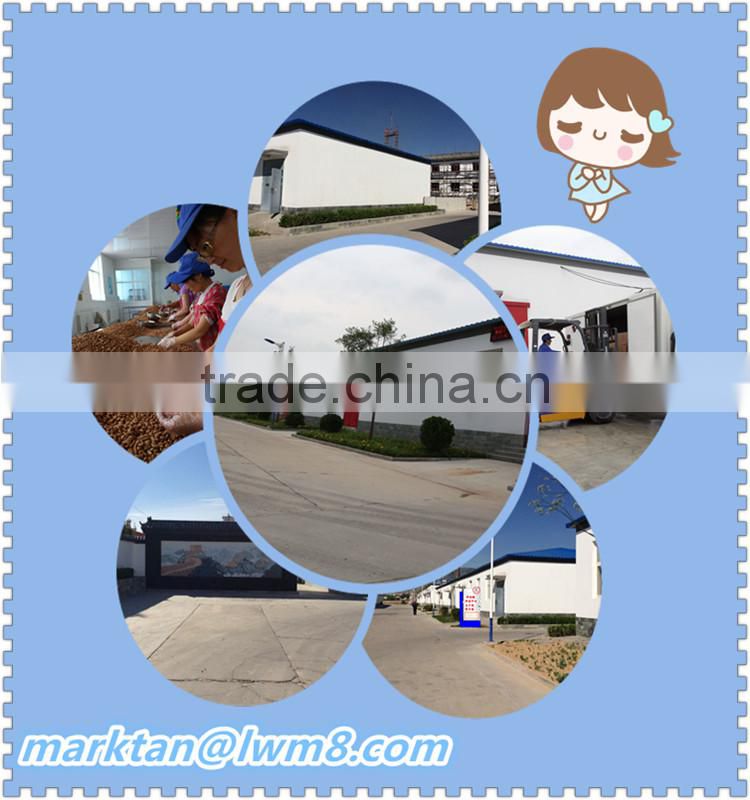 High quality sweet apricot kernels made in china.