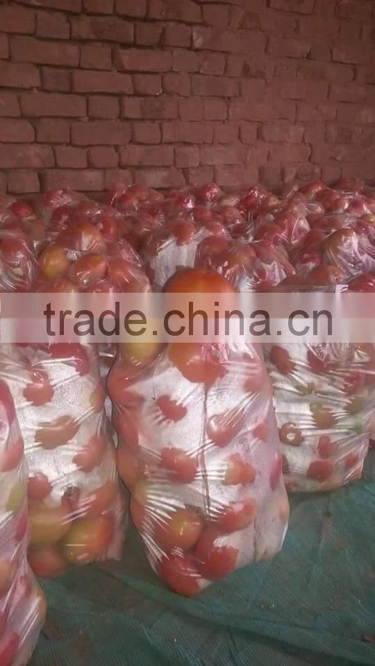 Red Jumbo F1 Hybrid Tomato Seeds