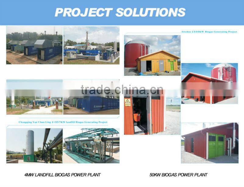 Camda biogas pre-treatment sysem/Biogas scrubber/biogas purify/de-sulfur