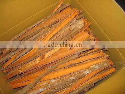 BEST OFFER FOR VIETNAM CASSIA/ CINNAMON BEST SPICES STANDARD CROP 2016
