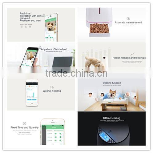 Smart dog cat pet feeder automatic