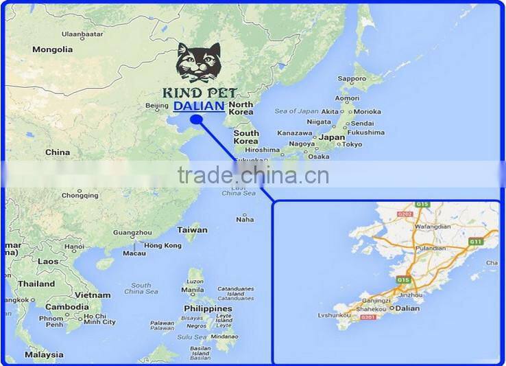 3 Way Playing Tunnel for Cats