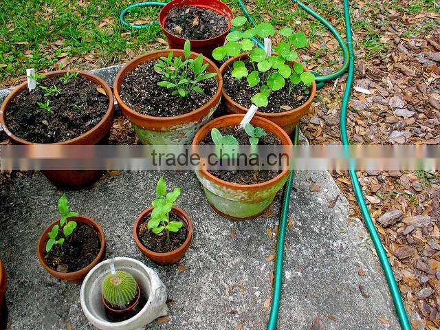 garden water hose / pvc hose / water hose