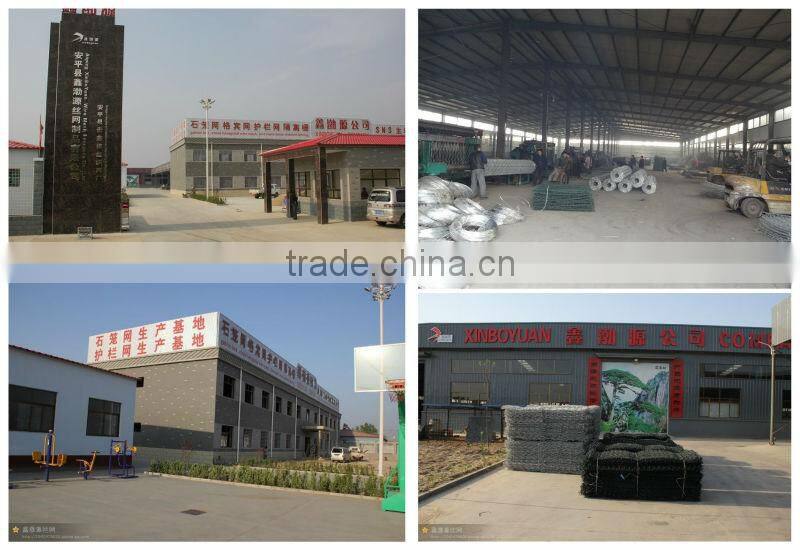 pvc hexagonal netting mesh/hexagonal mesh