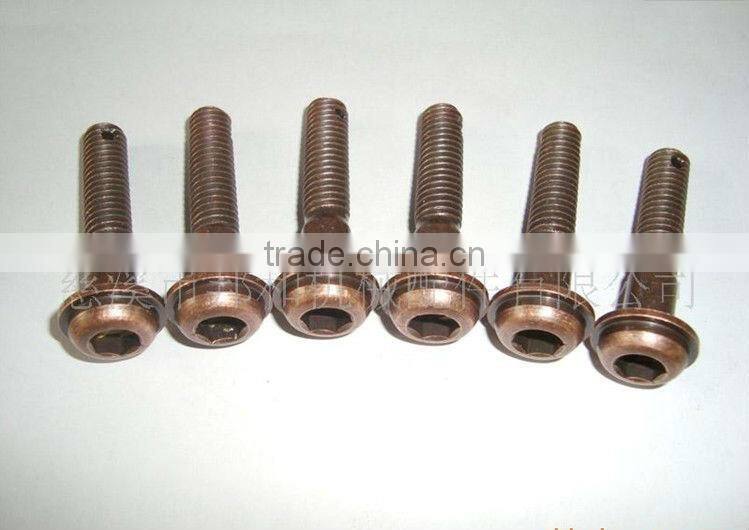 antique bronze coffin screw