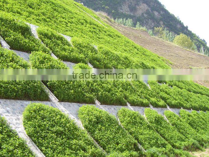 China large capacity grass seeds hydro seeder with soil
