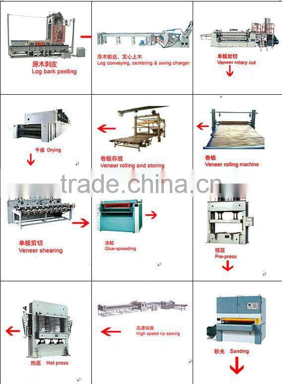 complete plywood production line/ sanding machine