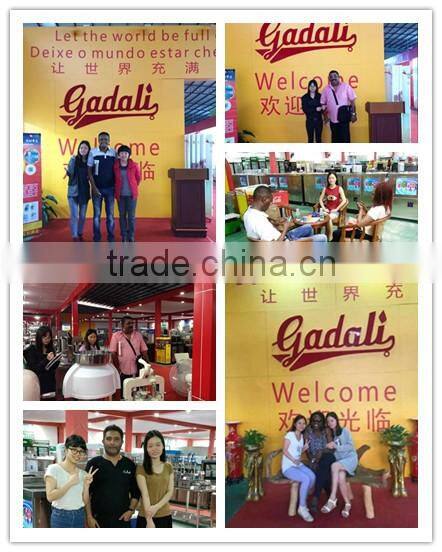 6,10, 12,14 pans Ice cream display refrigerator,italian ice cream display freezer ZQR-608