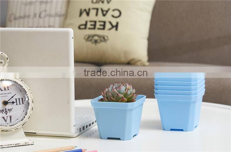 Thicken Colorful Square Plastic Plant Pot for Decoration of Home Office Desk Garden Flower Shop