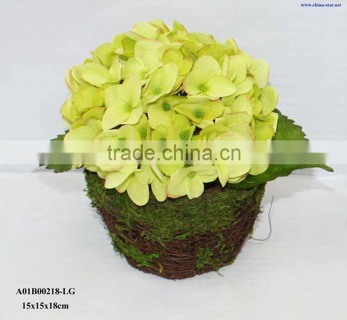 rattan pot potted white hydrangea