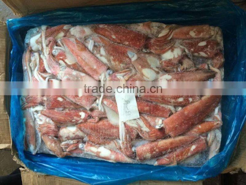 sea Frozen Loligo chinensis ,for Italy ,Greece et ,EU market