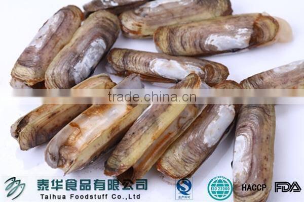 Season for Sale Frozen Razor Clam in Fresh Seafood