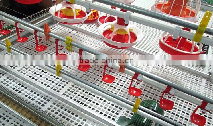 Automatic Poultry Layer Farming Equipment And Poultry Farm Raw Materials