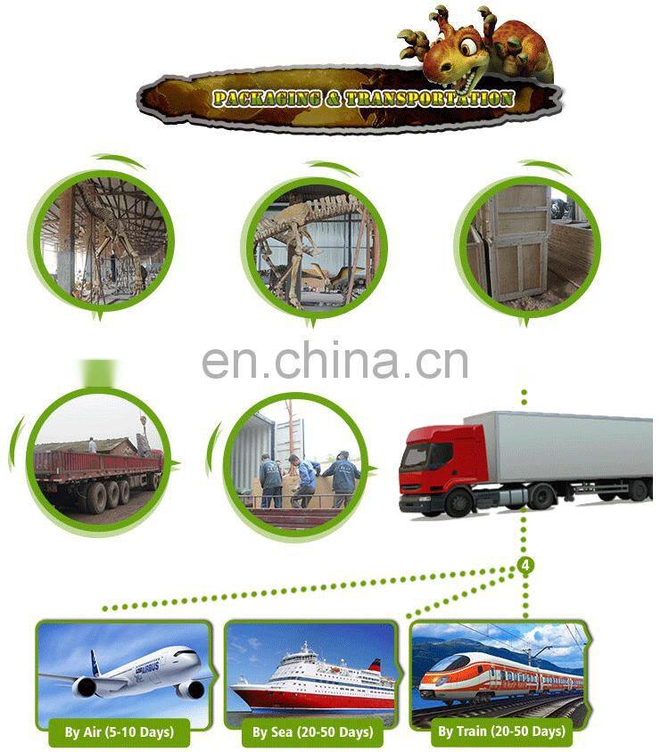 roaring vivid dinosaur skull fossil for museum exhibition