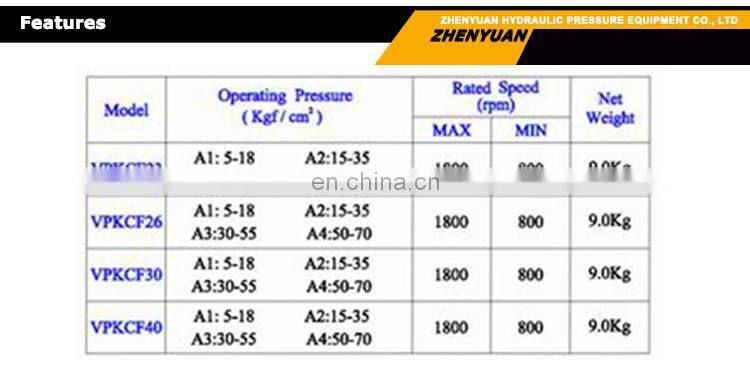 Variable hydraulic vane pump VPKC-F20-A1-01-1