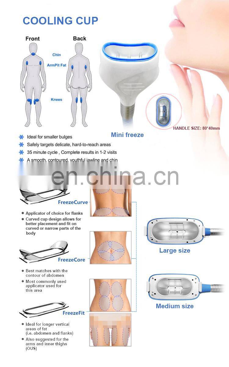 Criolipolisis Cryolipolysis Slimming Machine Portatil Cryolipolisis Machine Portable 2 Handles
