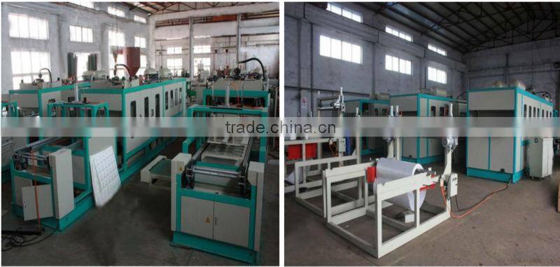2013 newset Eps Carryout Container production line