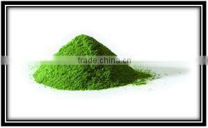 moringa leaves powder from tamilnadu
