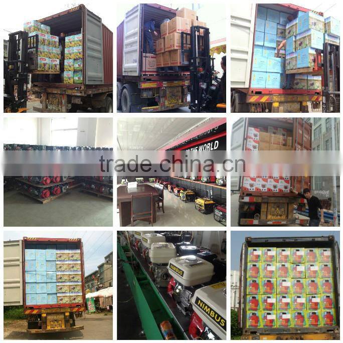 AVR voltage regulator gasoline generator