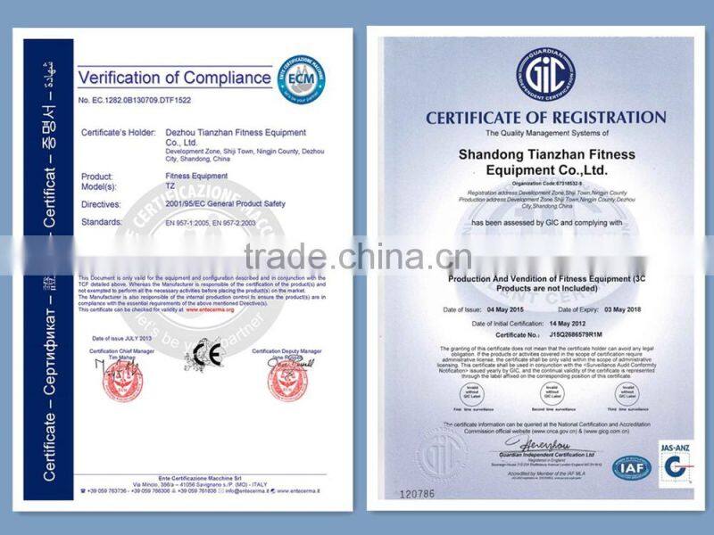 Professional Gym fitness / Club Fitness Equipment Leg Extension TZ-9002