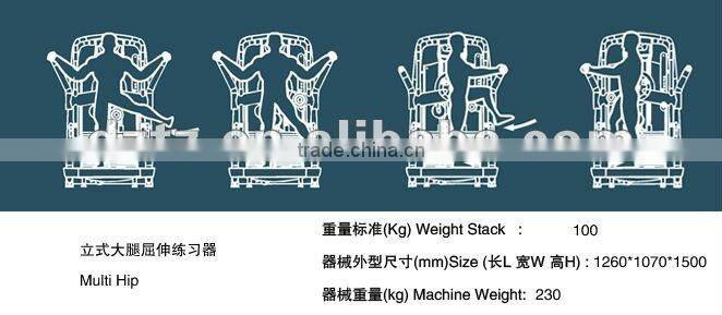 2016 good quality muscle exercise gym machine/new popular Multi Hip