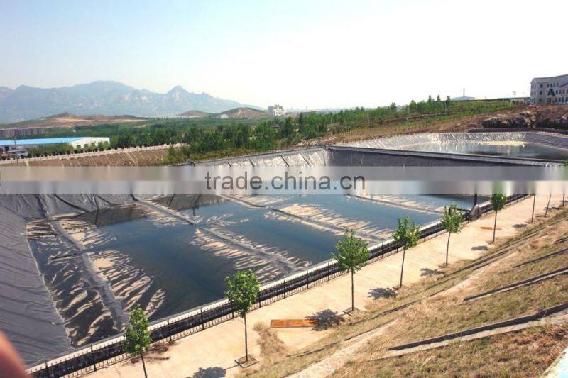 Geomembrane