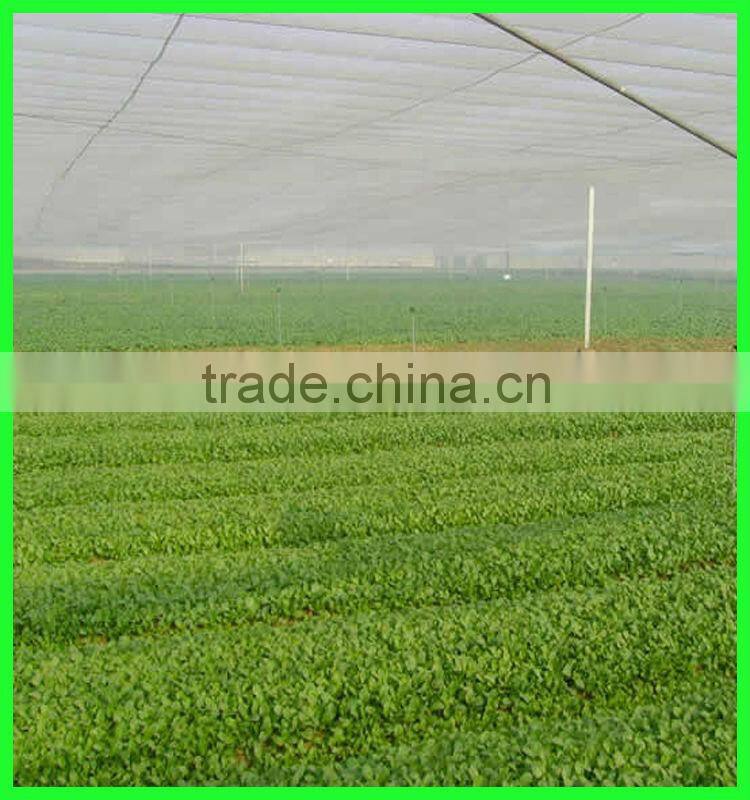 Suntex virgin HDPE elastic insect mesh netting antil bird netting