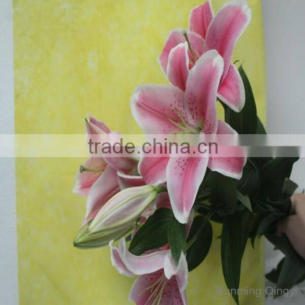 Alibaba china fresh cut flower lily promotional lili and rose flower