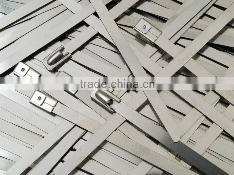 Plastic Covered, PVC Coated Stainless Steel Cable Ties