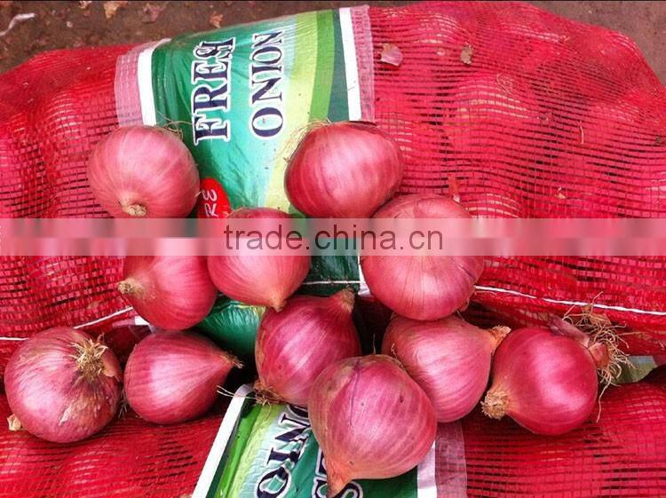 50mm size red onion