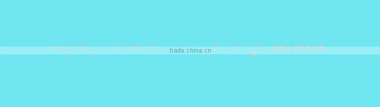 Roller Skate(TJ-321)