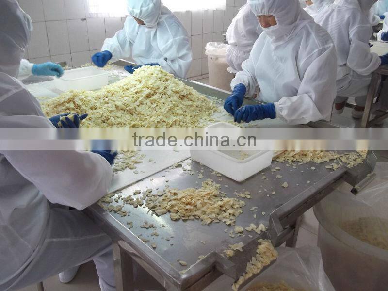 Dry Garlic Flakes Dried Garlic Flakes Dehydrtated Garlic Flakes 1.0-2.2MM