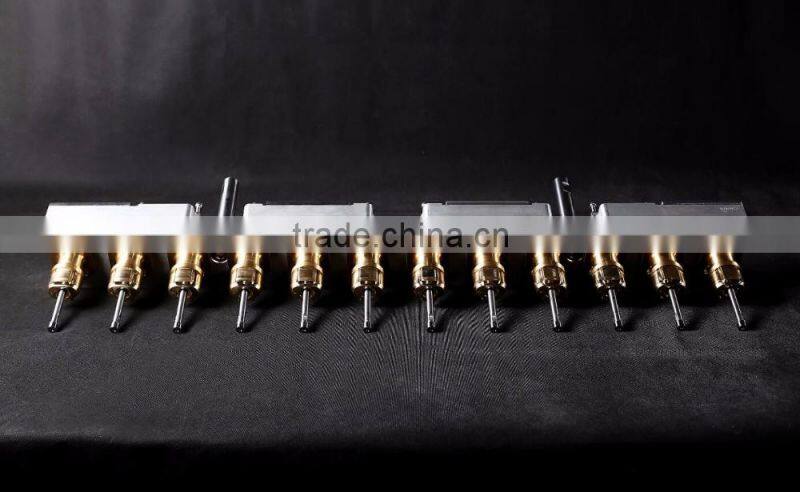 12 Cavity Blow Mold/Mould for PP Infusion Bottle