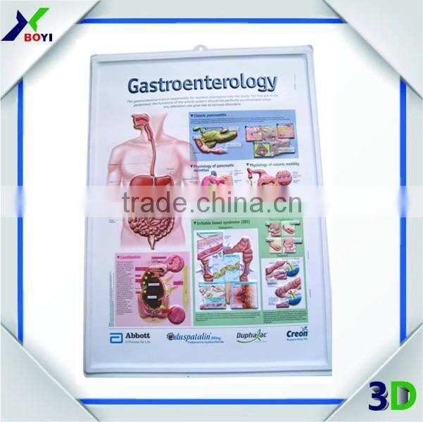Medical Poster 3D Brain Anatomical Chart Embossed Poster