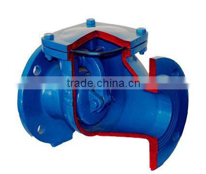 Swing Check Valve